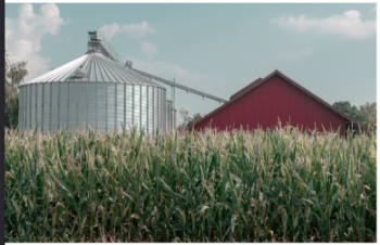  Feed Mills