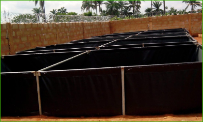  Aquaculture